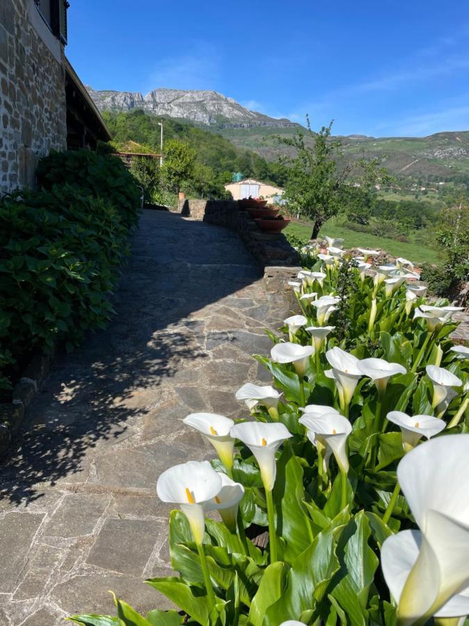 Posada Casa Guadamillas Bustancilles المظهر الخارجي الصورة